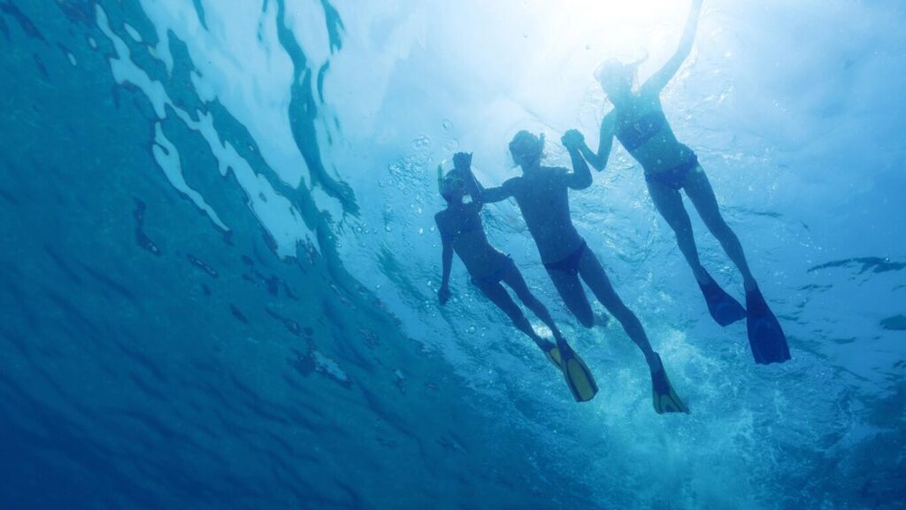 沖縄の綺麗な海でシュノーケリングしている写真