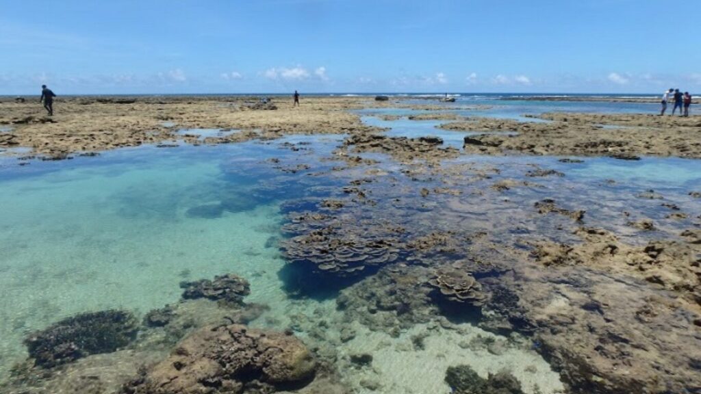 沖縄県でサップができる大度海岸の写真